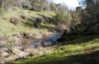 Stillwater Creek, Redding CA